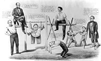 The Political Gymnasium