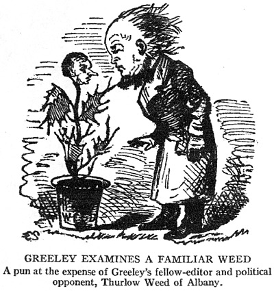 Greeley Examines a Familiar Weed