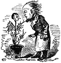 Greeley Examines a Familiar Weed (a pun at the expense of Thurlow Weed)